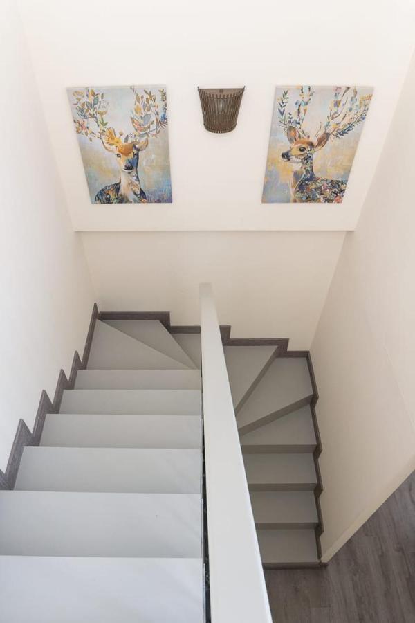 Apartamento Las Margas Golf Pirineo Aragones ซาบิญานิโก ภายนอก รูปภาพ